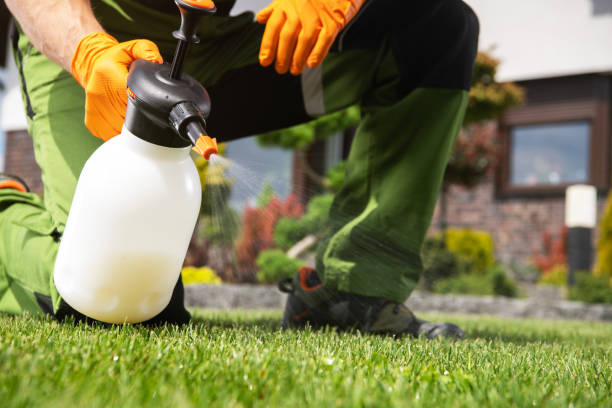 Pest Control for Restaurants in Diboll, TX