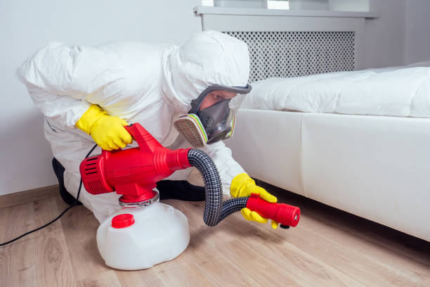 Professional Pest Control in Diboll, TX